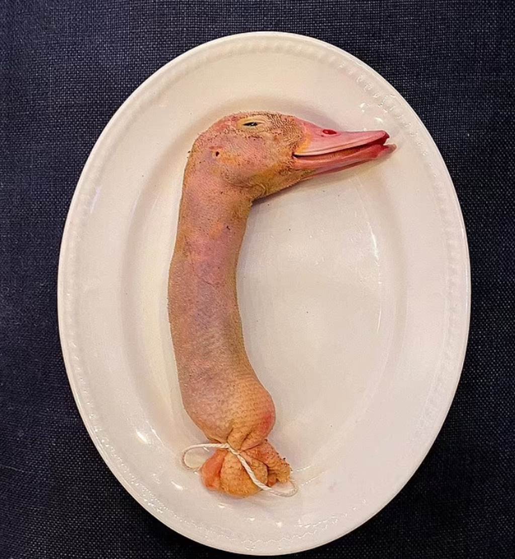 20220108003597.jpg