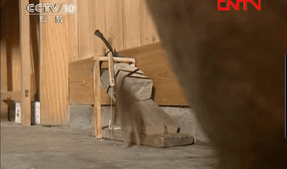 19.gif