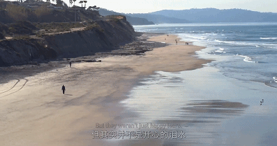 IMG_4475.GIF