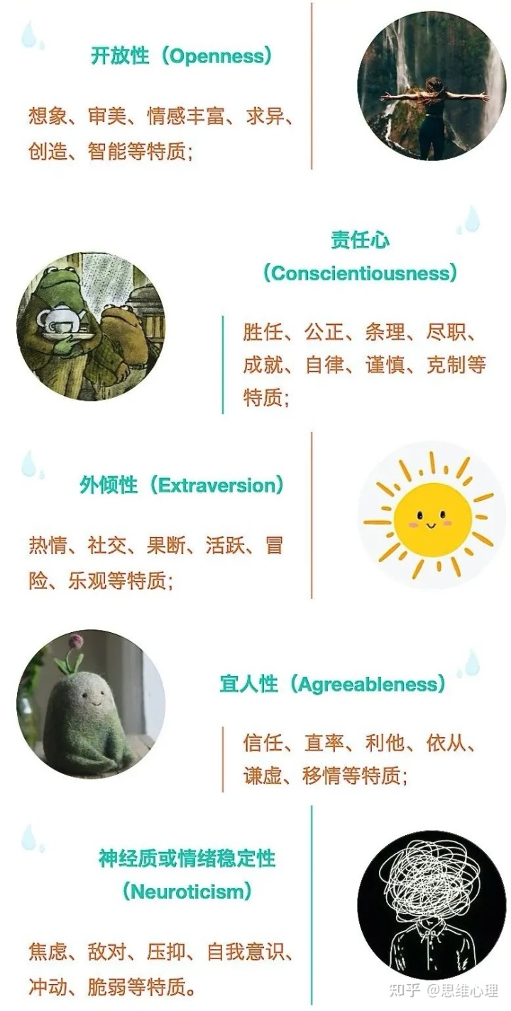 11a.jpg 11a.jpg
