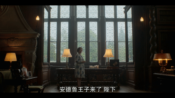 IMG_8831.GIF