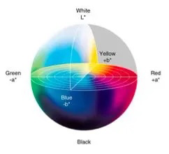 4.png 4.png