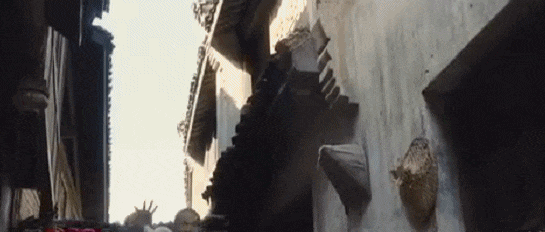 IMG_9986.GIF