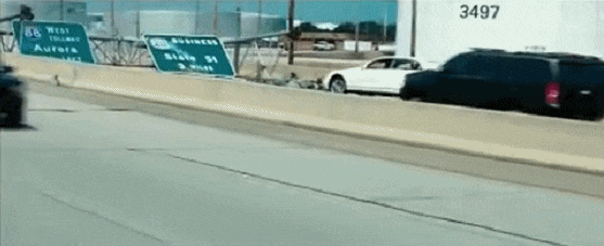 IMG_0009.GIF