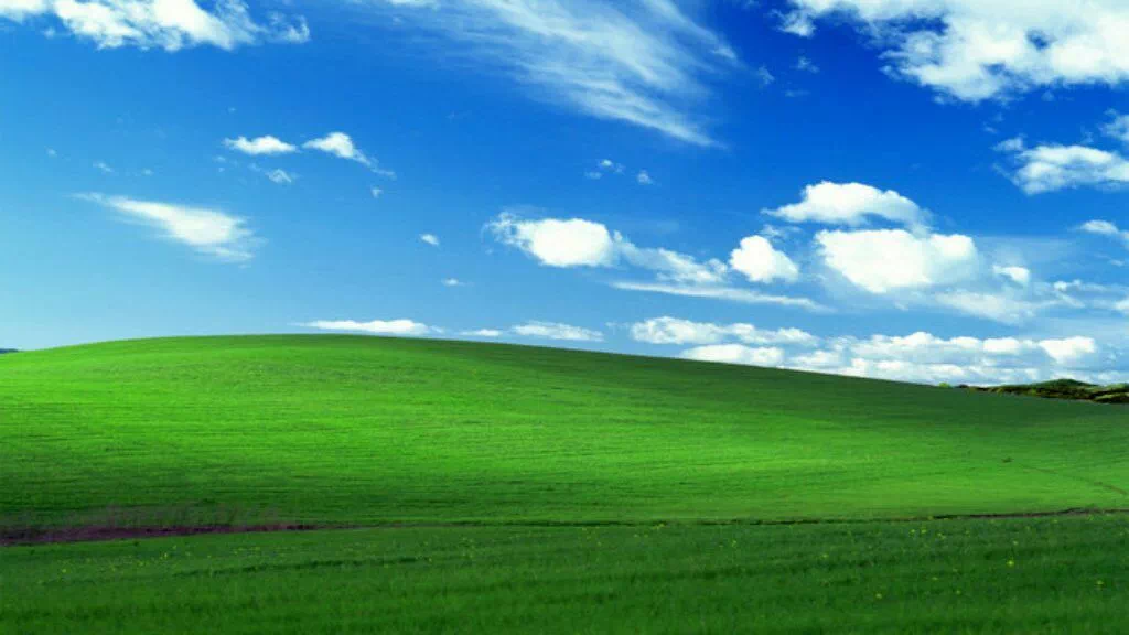 IMG_6495.PNG