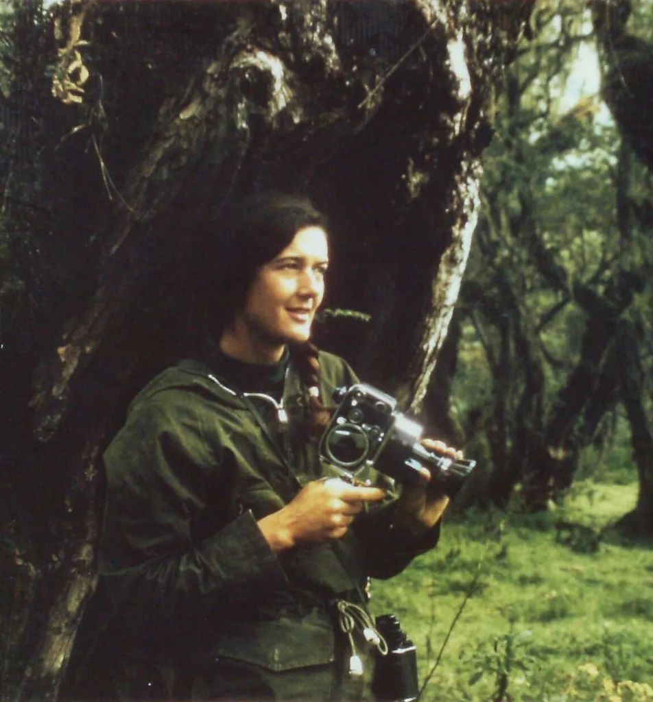 s75.jpg
