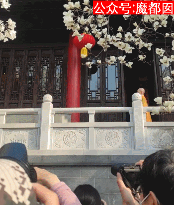 s306.gif
