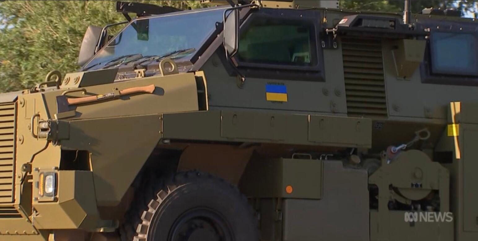 z319.jpg