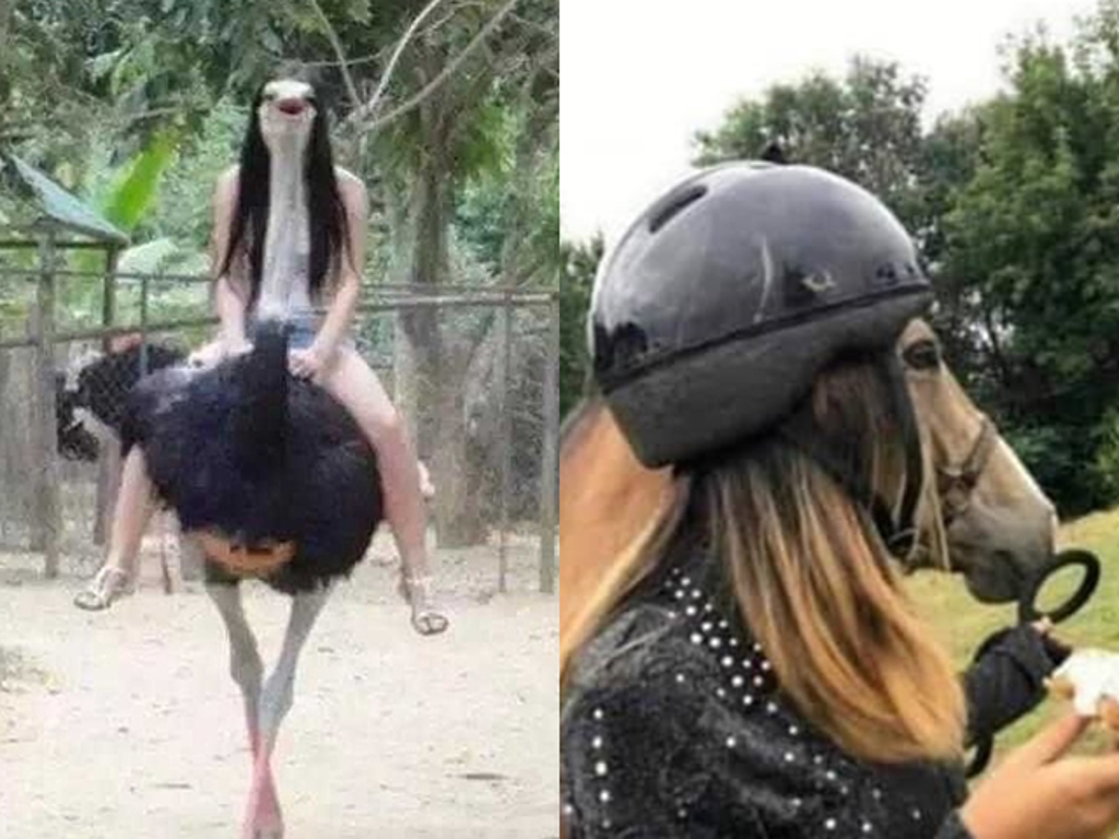20220415005132.jpg