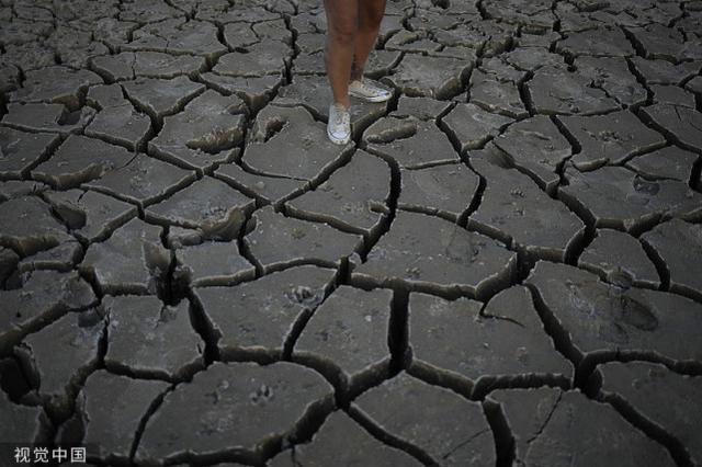 a7.jpg