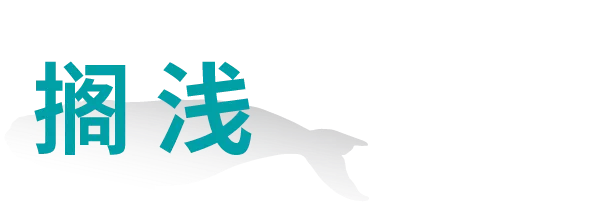 IMG_0181.PNG