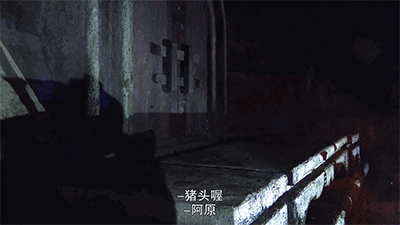 IMG_1490.GIF
