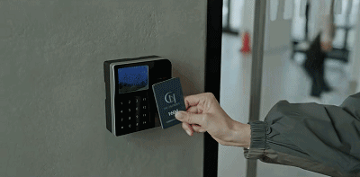 IMG_4243.GIF