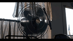 IMG_5410.GIF