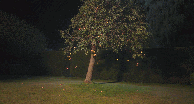 IMG_5814.GIF