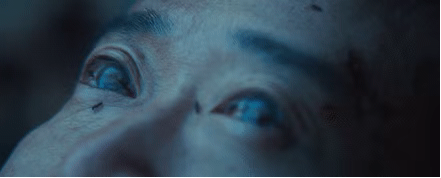 a538.gif