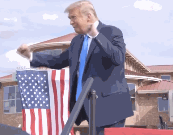 a617.gif