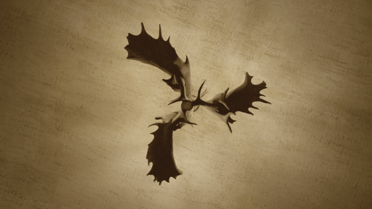 IMG_0019.GIF