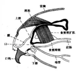 IMG_7065.PNG