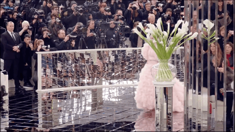 IMG_7751.GIF
