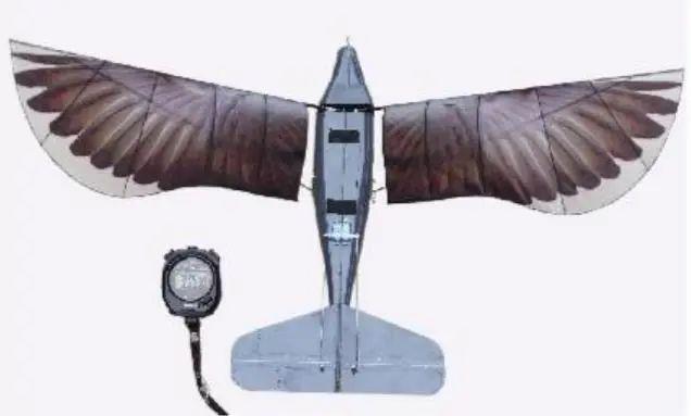 za31.jpg