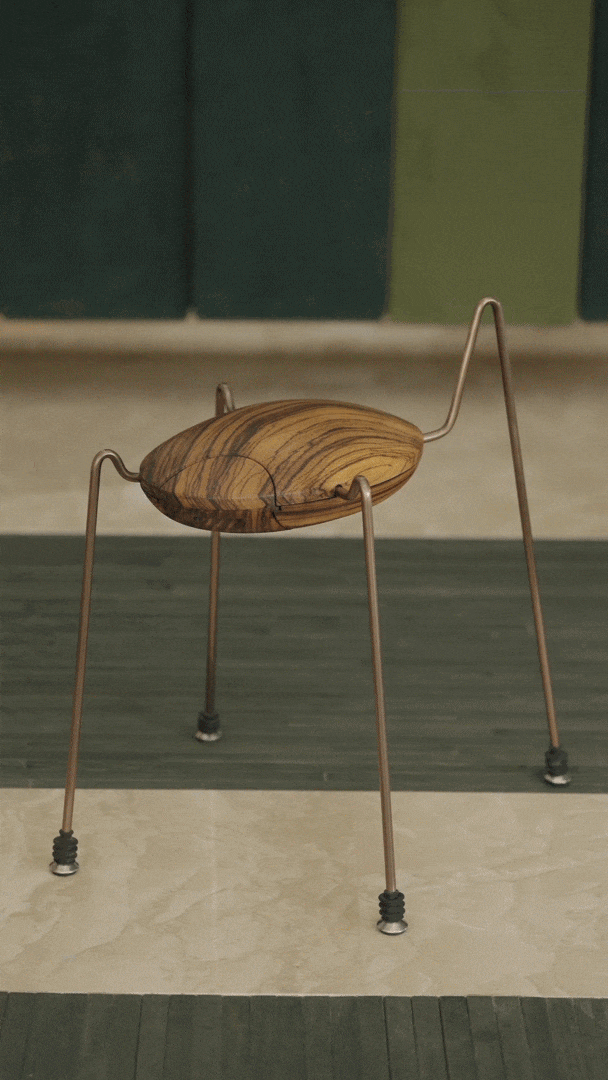 IMG_6816.GIF