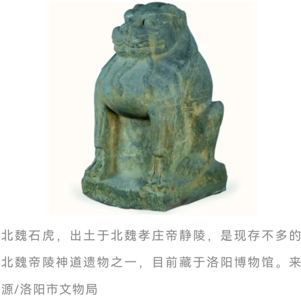 IMG_6342.PNG