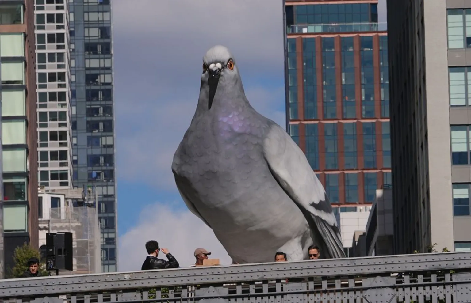 IMG_0551.PNG