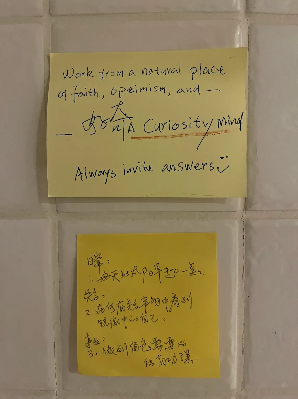 IMG_1536.PNG