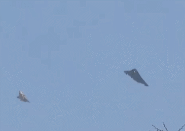 a1.gif