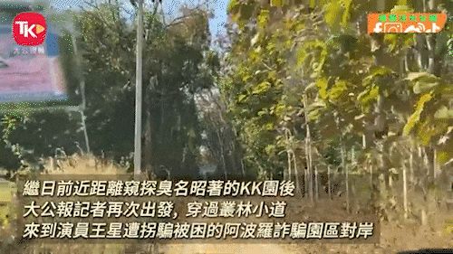 a1.jpg