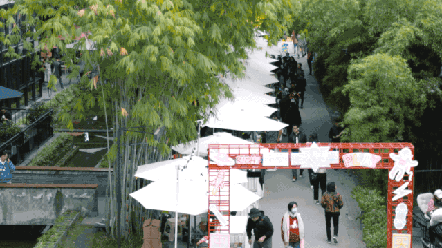 IMG_7236.GIF