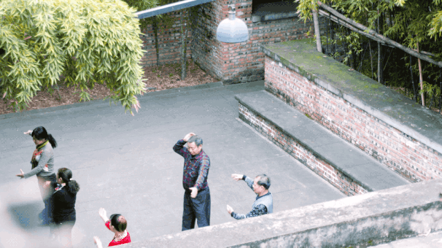 IMG_7251.GIF