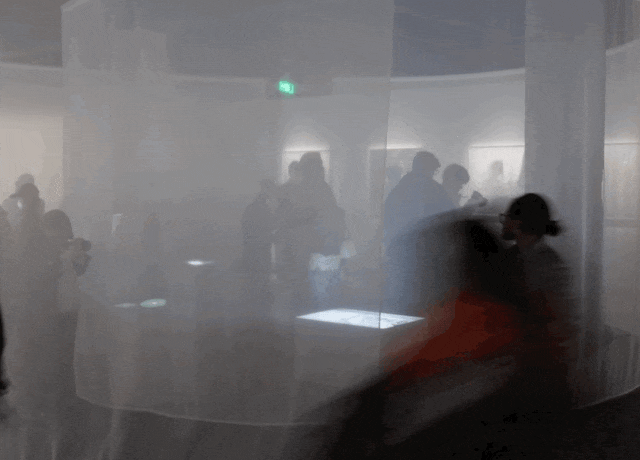 IMG_9046.GIF