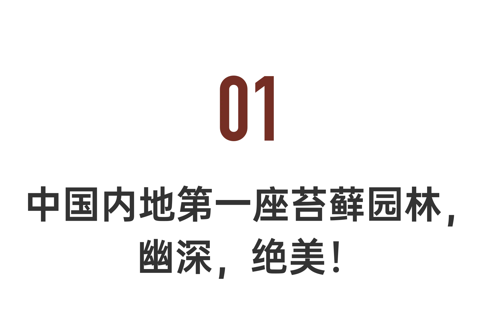 IMG_4299.PNG