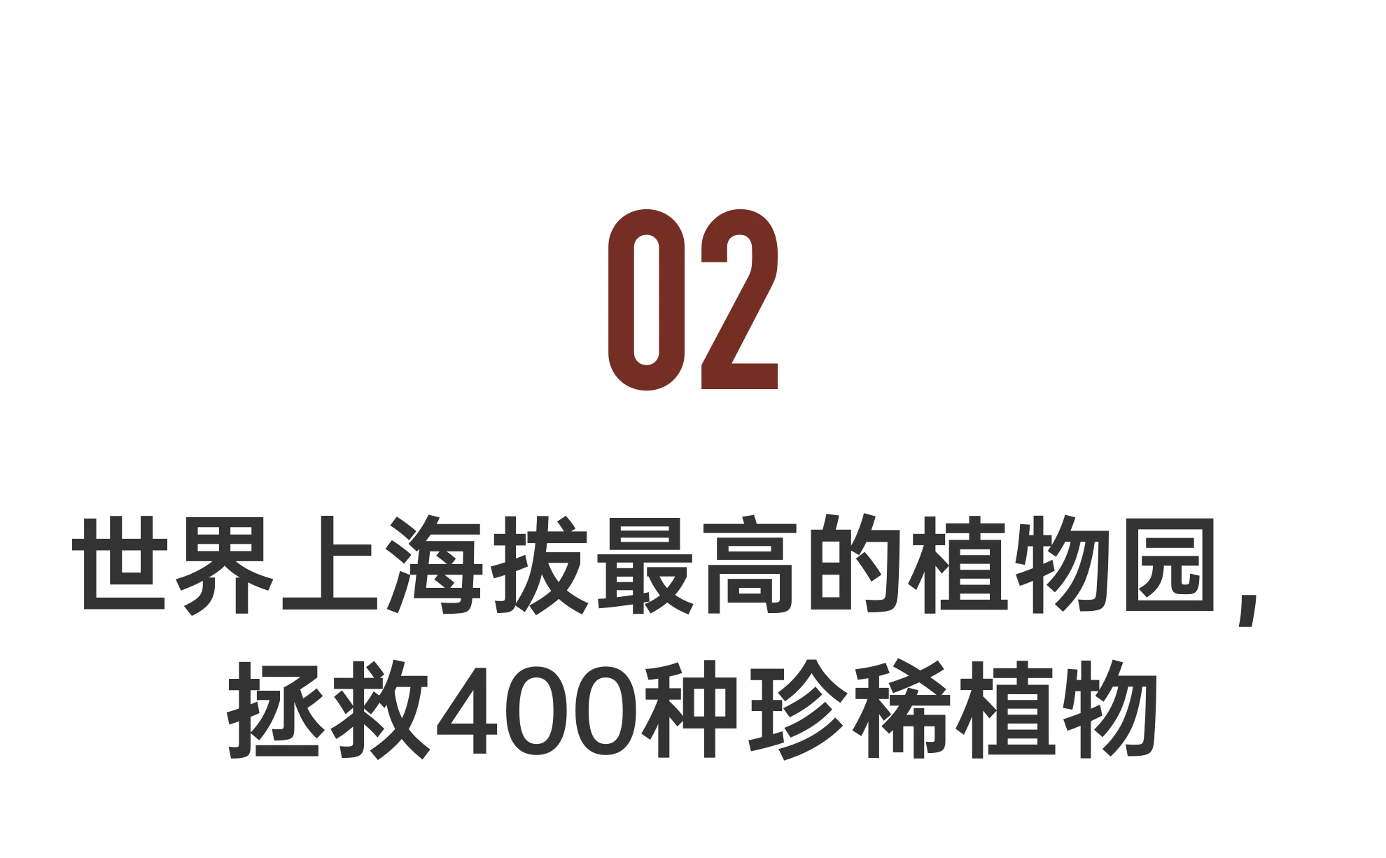 IMG_4313.PNG