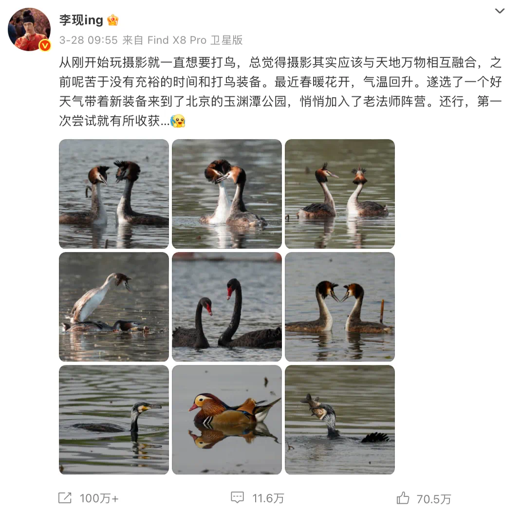 IMG_4608.PNG