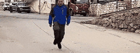 a1.gif