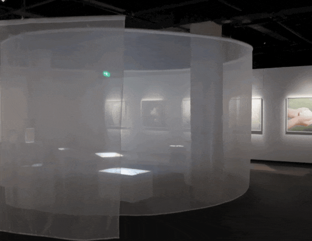 IMG_5574.GIF