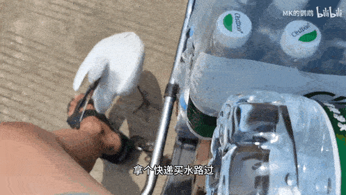 71-ezgif.com-optimize.gif
