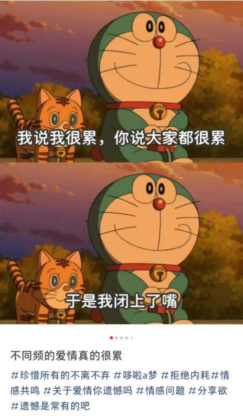 a1.jpg