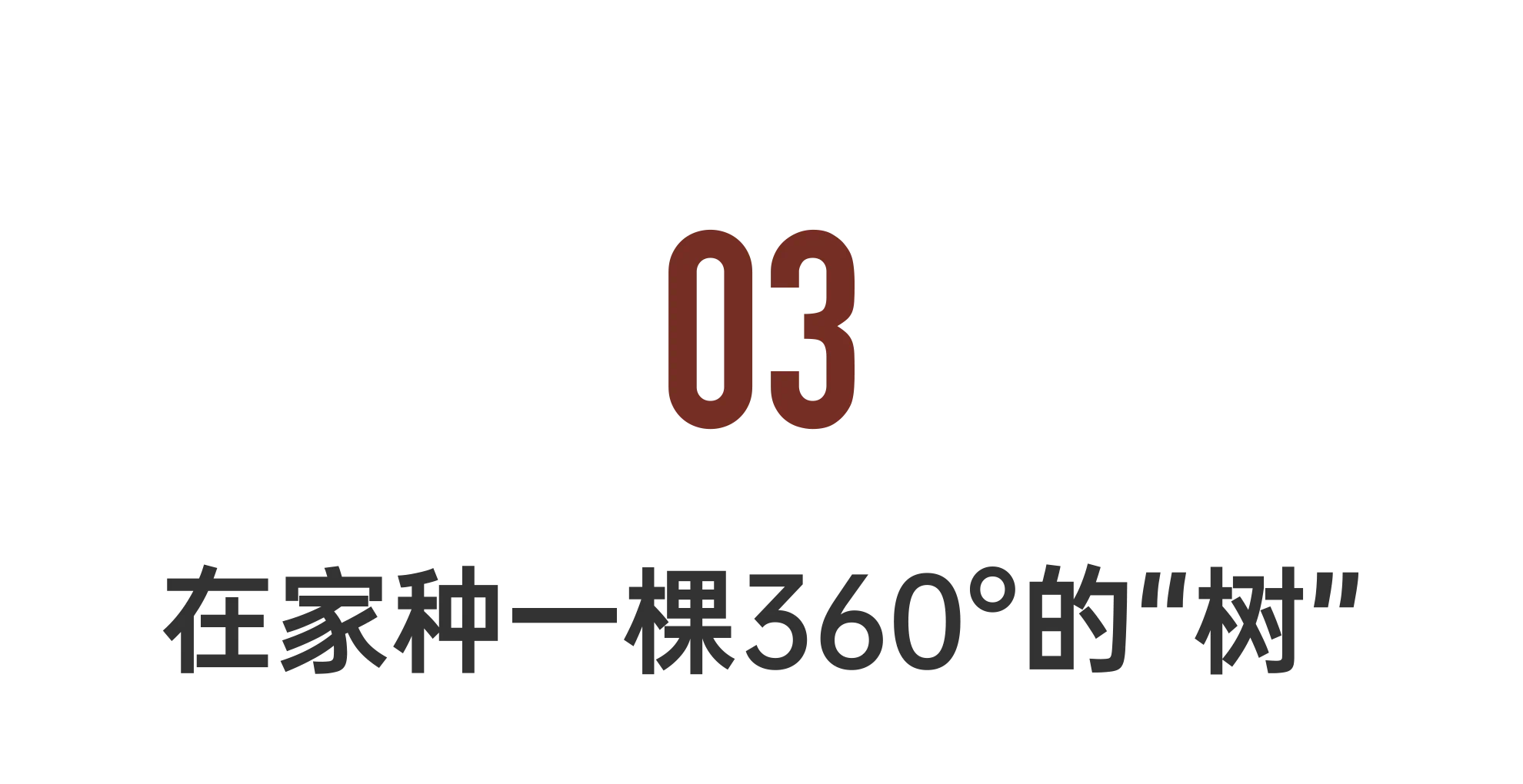 IMG_6259.PNG