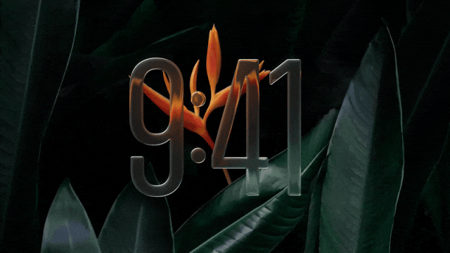 8.gif