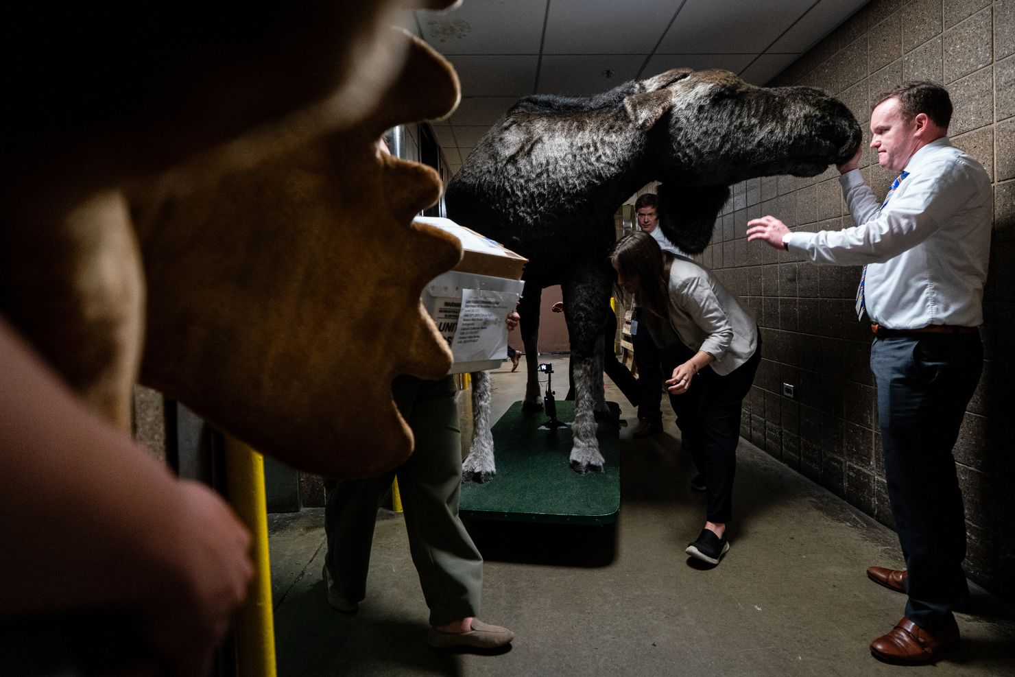24-gettyimages-2218937084.jpg