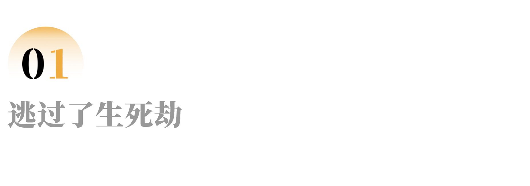 IMG_9807.PNG