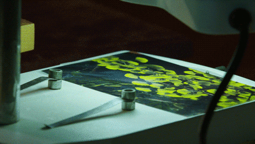 IMG_9586.GIF