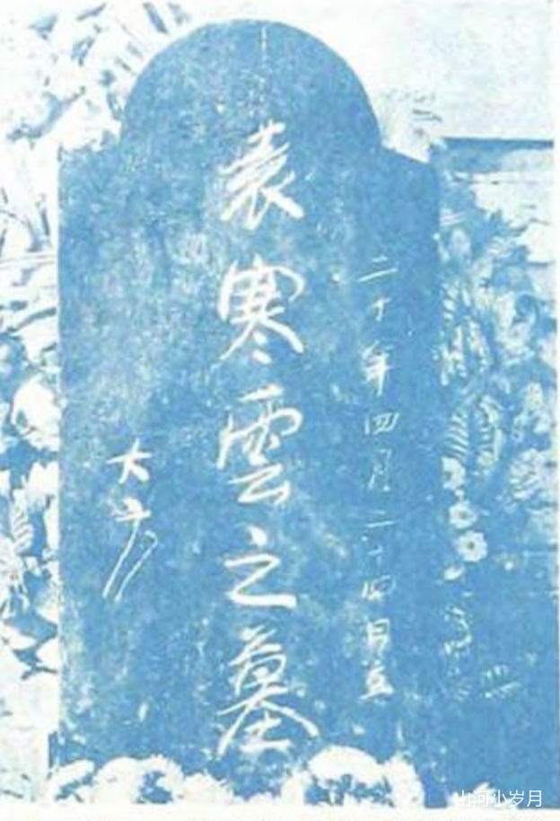 IMG_1498.PNG