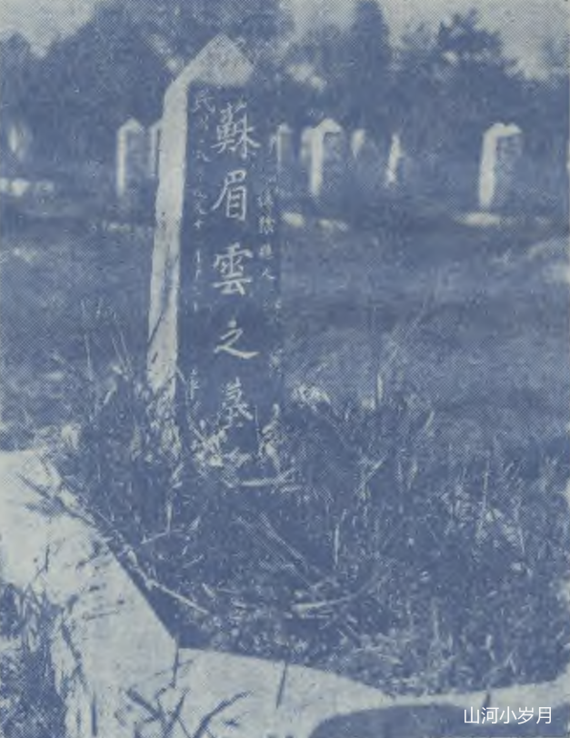 IMG_1499.PNG