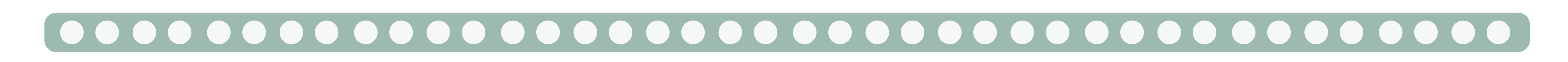 IMG_1505.PNG