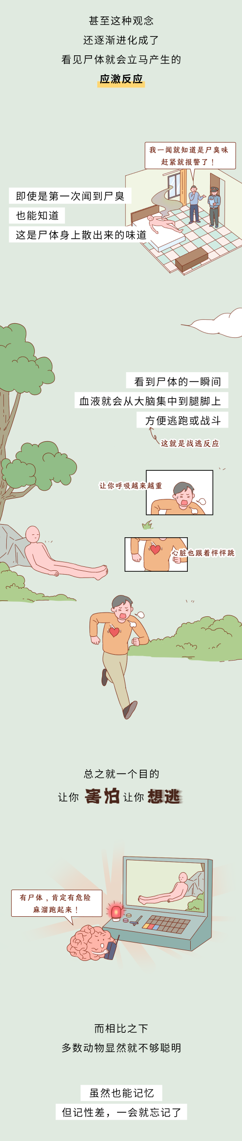 a1.png